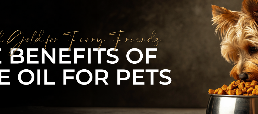 Liquid Gold for Furry Friends: The Benefits of Olive Oil for Pets